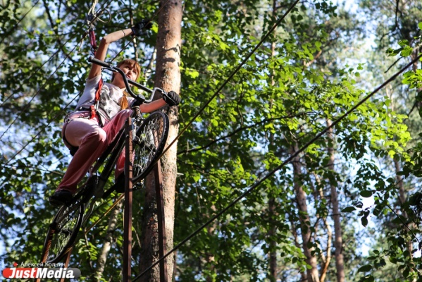 Журналисты JustMedia попробовали себя в роли тарзанов, проведя полтора часа на деревьях. ЭКСПЕРИМЕНТ - Фото 1