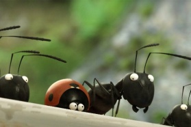 Выиграй билеты на мультфильм «Букашки. Приключения в долине муравьев 3D»