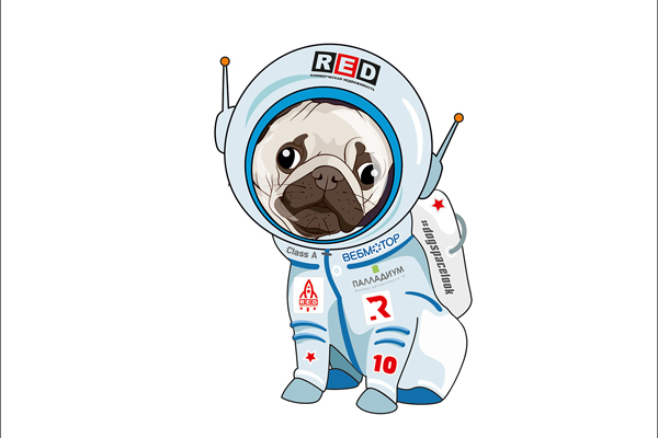 Дизайнеры построят ракету для собак-космонавтов - Фото 2