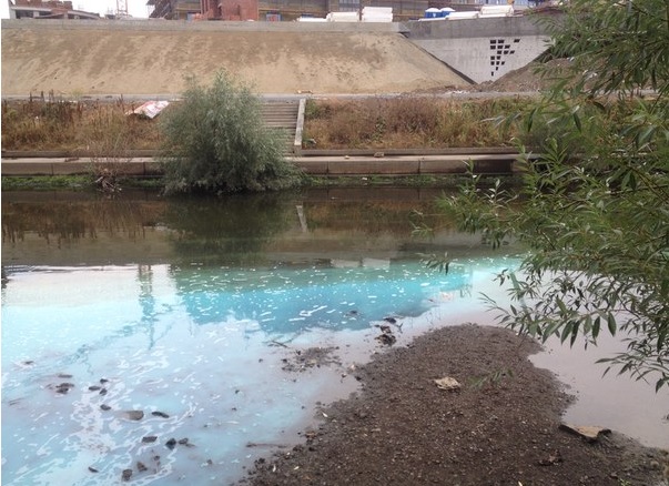 Городской пруд в центре Екатеринбурга стал голубым. ФОТО - Фото 2