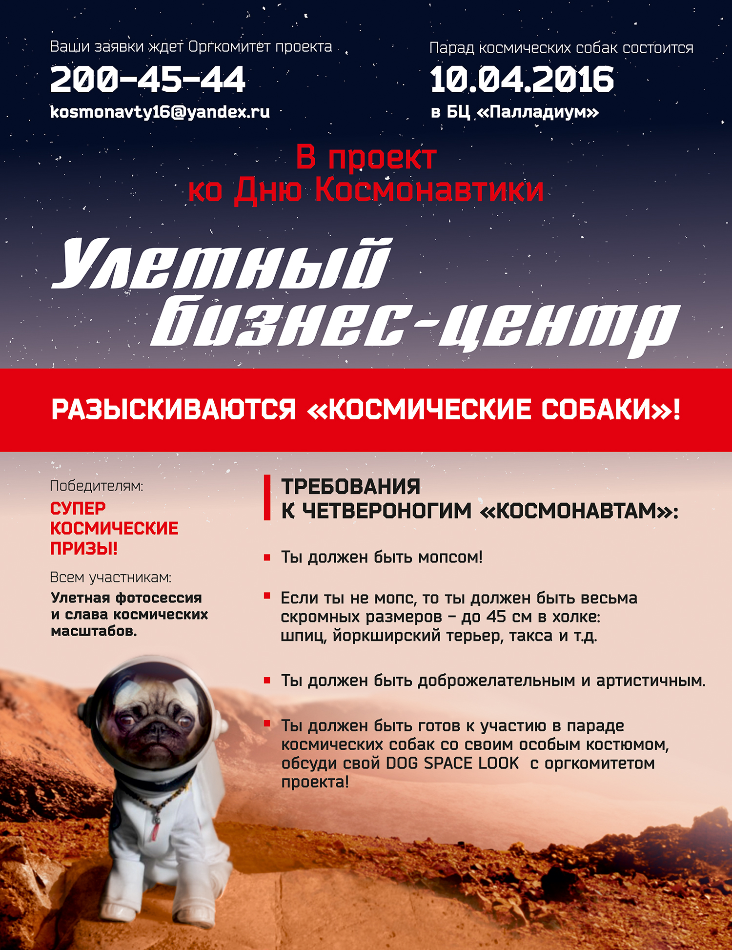 В Екатеринбурге ищут мопсов и такс для первого парада собак-космонавтов - Фото 2