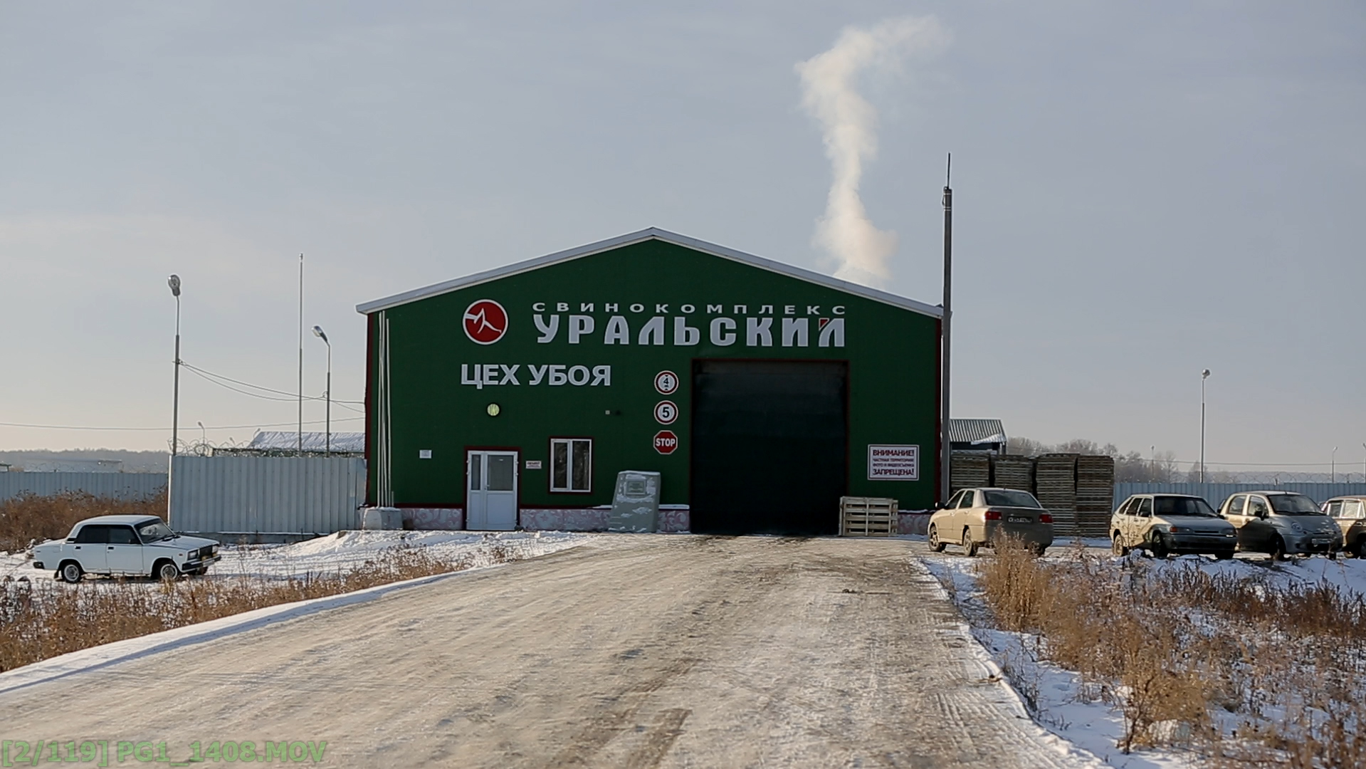 Полный производственный цикл на свинокомплексе «Уральский» теперь отслеживают в режиме онлайн