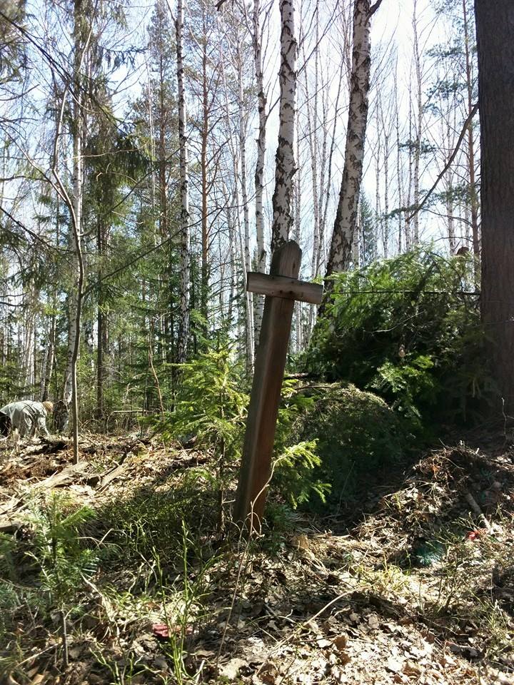 Под Первоуральском экологи завалили памятный камень на кладбище красноармейцев мусором - Фото 4