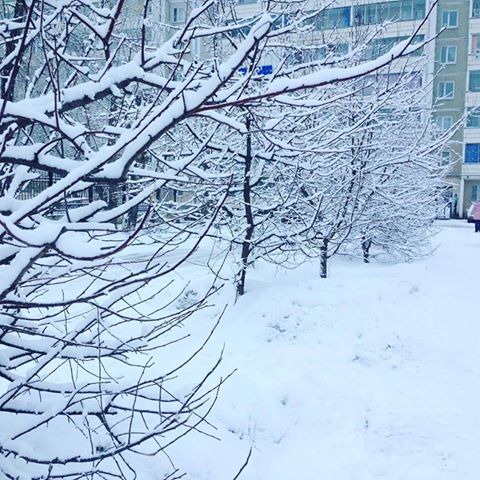«То чувство, когда засыпал в марте, а проснулся в декабре». Екатеринбуржцы «запорошили» соцсети снегопадом. ФОТО - Фото 6