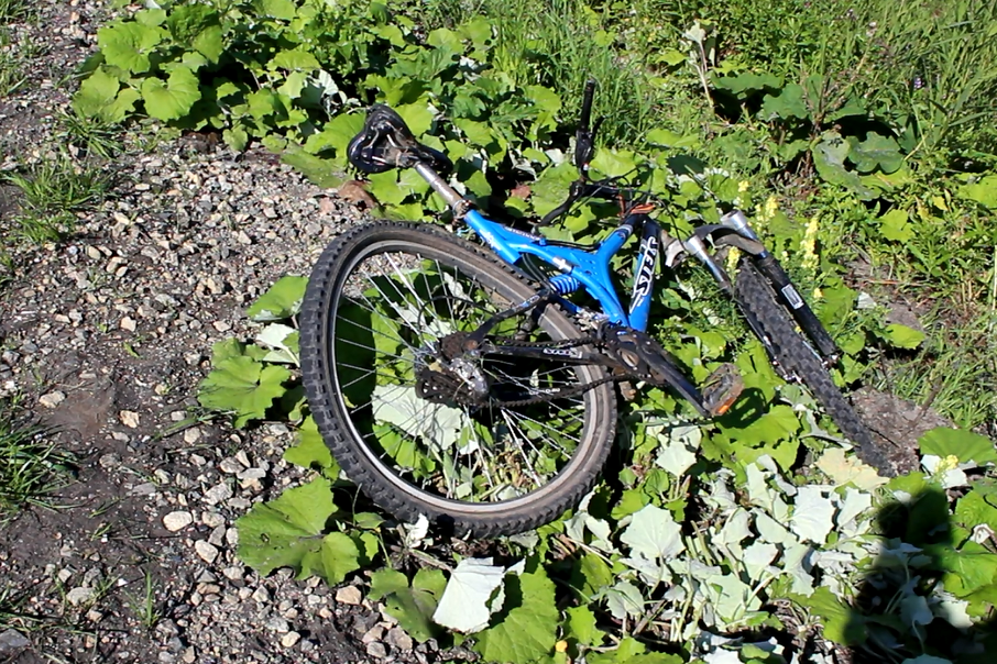 На трассе под Каменском-Уральским минивэн насмерть сбил велосипедиста - Фото 2