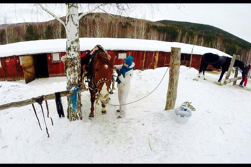 Екатеринбуржец изобрел новую зимнюю забаву, «скрестив» сноуборд и лошадь. ВИДЕО - Фото 2