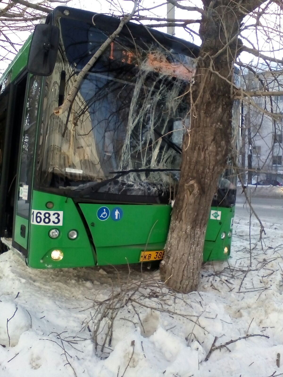 В Екатеринбурге водитель автобуса потерял сознание и снес дерево. Пострадали три человека - Фото 4