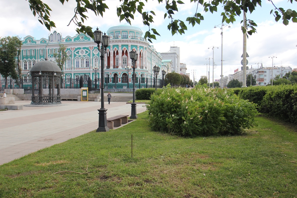 В Екатеринбурге сквер перед «Пассажем» превратится в первый кленовый парк. ФОТО - Фото 6