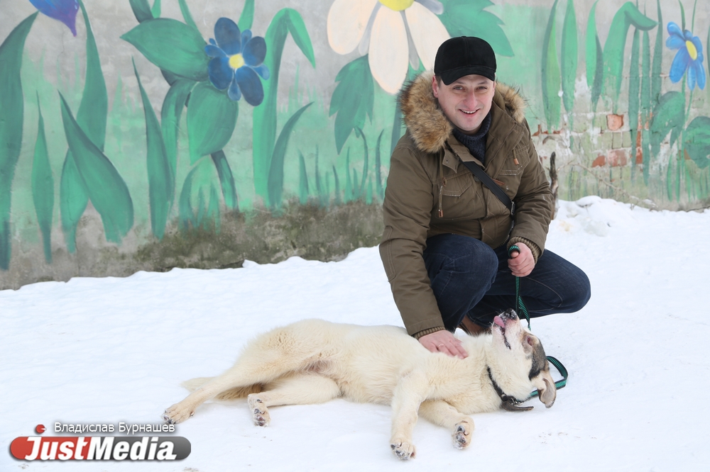 В Екатеринбурге устраивают тест-драйв бездомных собак, чтобы спасти им жизнь. СПЕЦПРОЕКТ - Фото 18