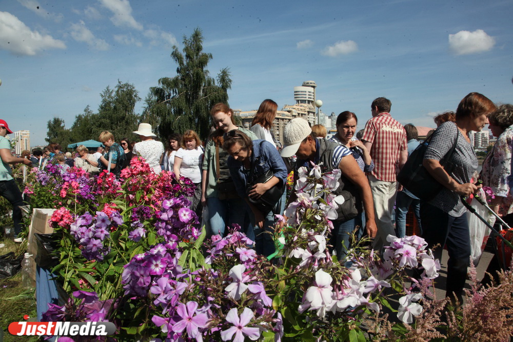 Набережную реки Исеть заполнили «цветочные предприниматели» - Фото 2