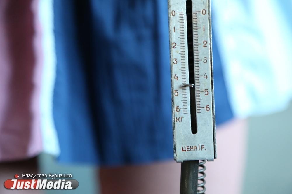 Не меньше семи килограммов: весы JustMedia.ru не справились с тяжестью портфеля уральского школьника - Фото 9
