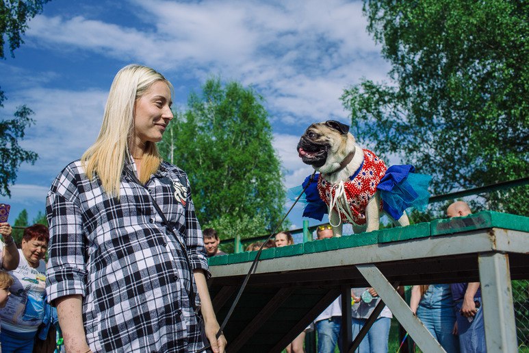 В Екатеринбурге хозяева вывели своих собак на 