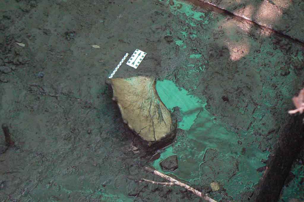 Археологи нашли под Нижним Тагилом уникальный артефакт, которому 8 тысяч лет. ФОТО - Фото 3