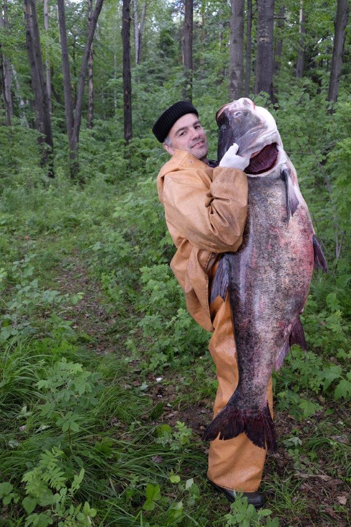 В Исетском водохранилище выловили толстолобика-гиганта. Вес рыбы – более 40 килограммов  - Фото 2