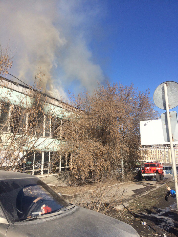«Нам пора вызывать скорую помощь». В Екатеринбурге из-за пожара в заброшенном Доме быта задыхаются сотрудники соседнего бизнес-центра - Фото 3