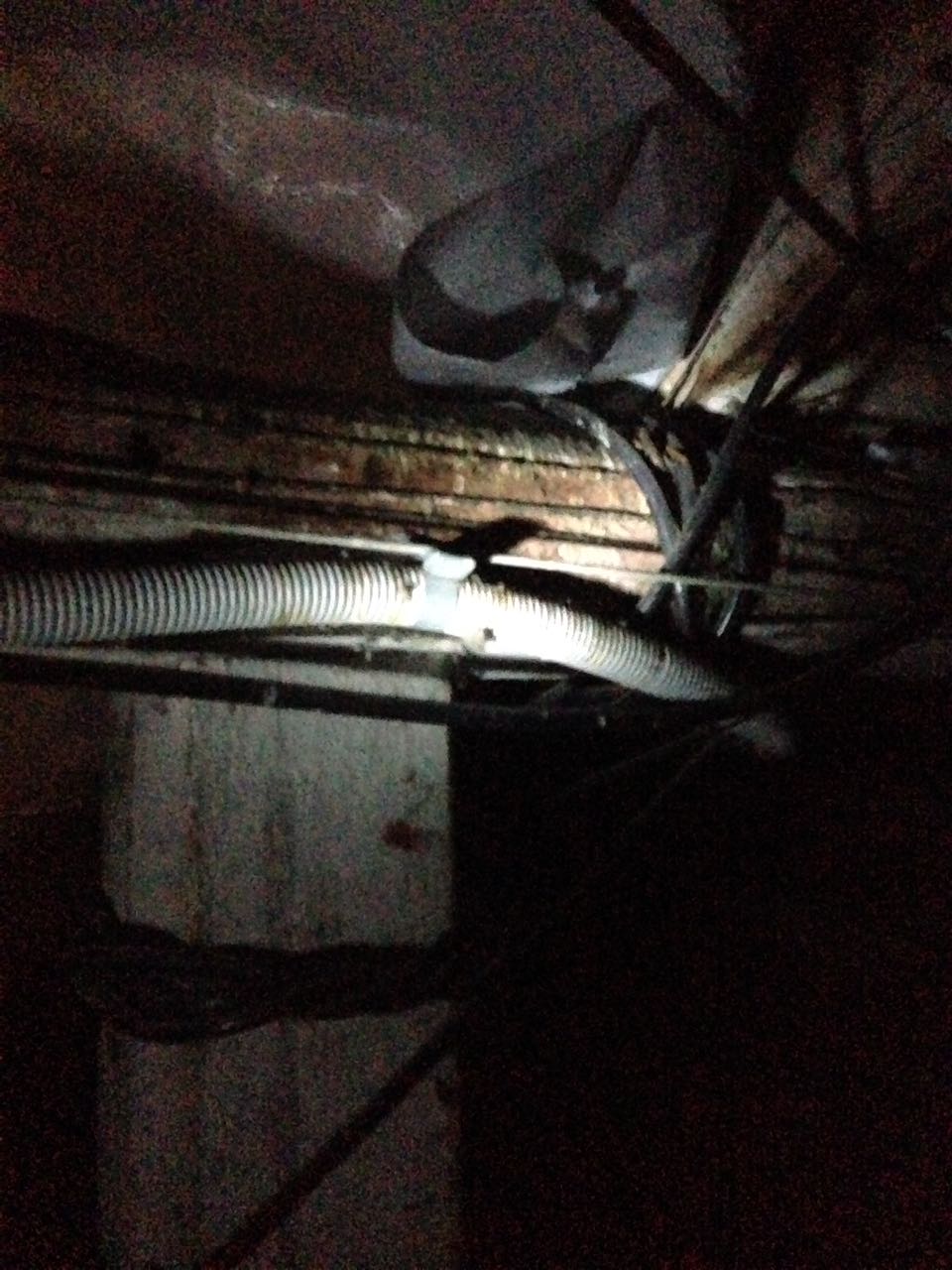 Дырявые окна и несуществующий подвал. Жители дома на Сакко и Ванцетти возмущены ужасным капремонтом за 7,5 млн. ФОТО - Фото 2
