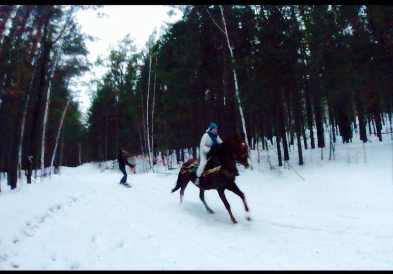 Екатеринбуржец изобрел новую зимнюю забаву, «скрестив» сноуборд и лошадь. ВИДЕО - Фото 3