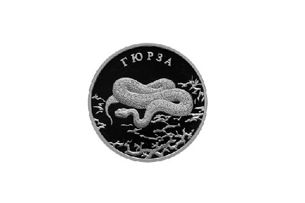 Серебряные змеи появились в «Банке24.ру» - Фото 2