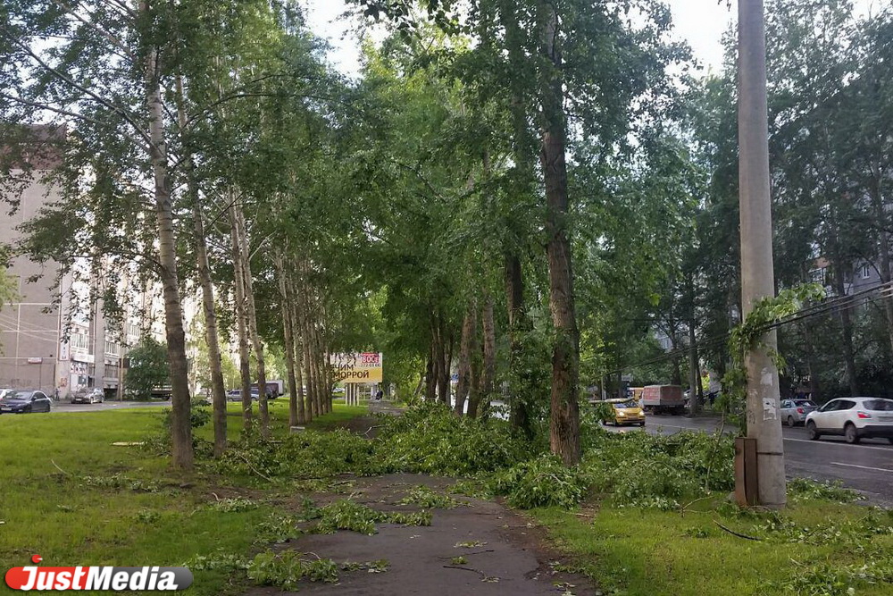 Падающие деревья, летающие крыши, горящие магазины. Что натворил ураган в Свердловской области. ФОТО, ВИДЕО - Фото 5