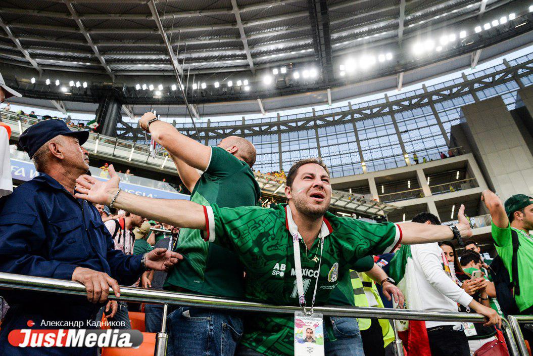 Все эмоции от поражения Мексики в матче со Швецией на лице одного болельщика. ФОТО - Фото 6