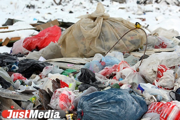 Вблизи Екатеринбурга 13 лет незаконно сваливают опасные отходы. Прокуратура насчитала 283710 тонн - Фото 1