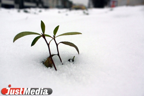 В выходные столицу Урала накроет мокрый снег с дождем - Фото 1