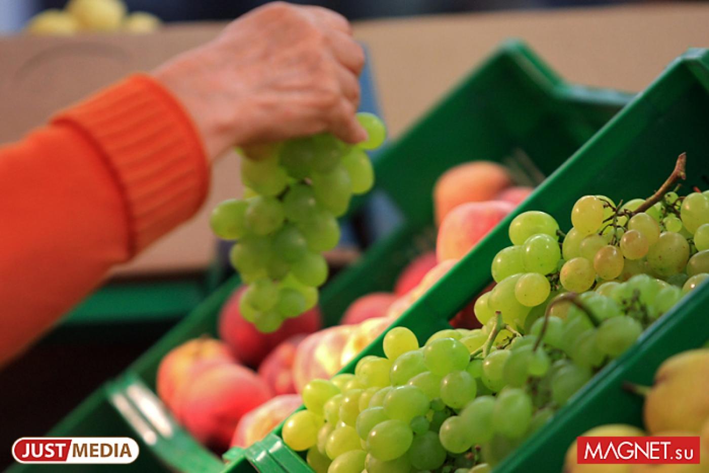 «УГМК-Агро» построит логистический центр для азербайджанских овощей и фруктов - Фото 1