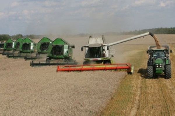 В 2014 г в России могут собрать 97 млн тонн зерна с учетом потенциала Крыма - Фото 1
