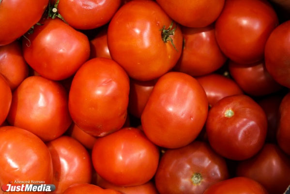  В Свердловской области обнаружены тонны опасных для жизни людей помидоров и огурцов - Фото 1