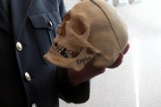 Будущим юристам рассказали, как восстановить облик человека по черепу