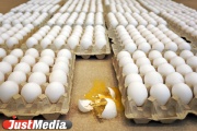 Казус с продажей яйца случился из-за ошибки автомата