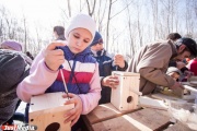 Более сотни скворечников сколотят плотники, орнитологи и жители Екатеринбурга