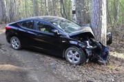 В Екатеринбурге девяностолетний водитель иномарки врезался в дерево и погиб 