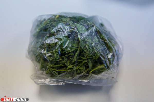 Наркополицейские изъяли у двух свердловчан по килограмму марихуаны - Фото 1