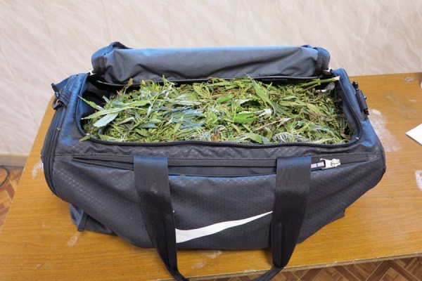 В Каменске-Уральском задержан спортсмен с двумя килограммами марихуаны - Фото 1