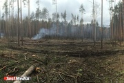 В Екатеринбурге в Калиновском парке неизвестные рубят и жгут деревья