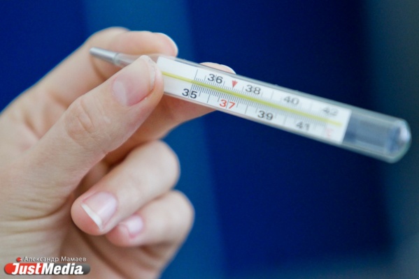 В Екатеринбурге растет число заболевших гриппом и ОРВИ - Фото 1