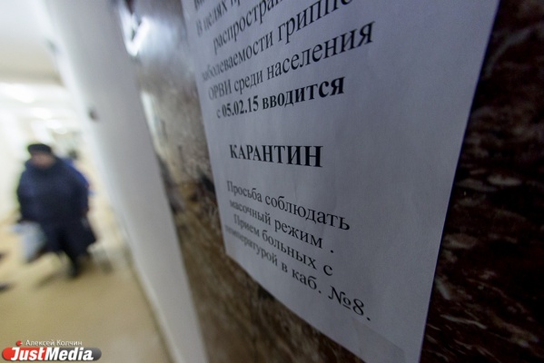 В Свердловской области из-за всплеска заболеваемости гриппом учебные заведения перейдут на особый режим работы - Фото 1