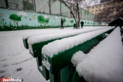С улиц Екатеринбурга вывезено 1750 самосвалов снега