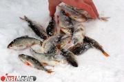 Спасатели сняли с тонкого льда в Белоярском водохранилище десять рыбаков