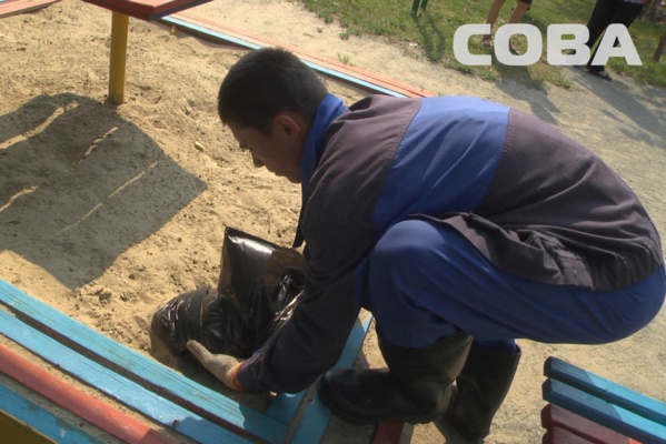 ШОК! Двухлетний екатеринбуржец откопал в песочнице труп кота - Фото 1