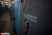 В Невьянской колонии четверым заключенных могут накинуть по 5 лет за избиение дневального