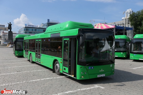 В январе на улицах Екатеринбурга появятся еще 60 новых автобусов - Фото 1