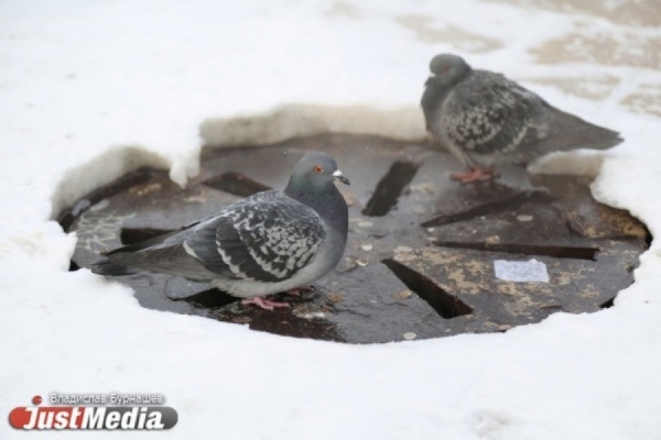 Синоптики продлили морозы в Свердловской области еще на два дня - Фото 1