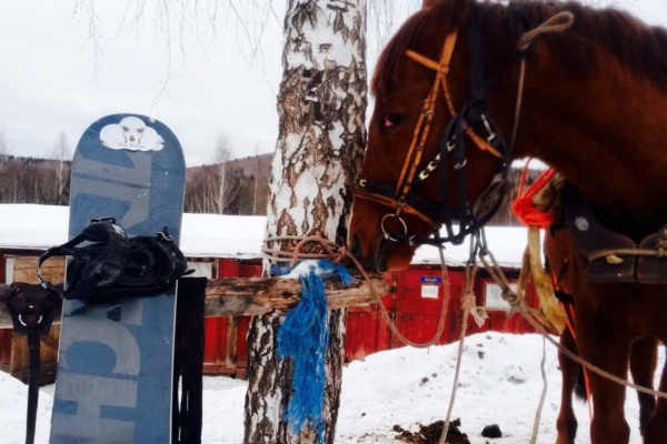 Екатеринбуржец изобрел новую зимнюю забаву, «скрестив» сноуборд и лошадь. ВИДЕО - Фото 1