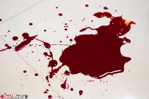 СК об убийстве жительницы Нижнего Тагила бывшим мужем: «В нашем регионе такие случаи периодически происходят» - Фото 1