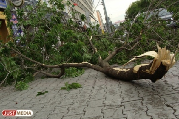 Страшный ураган, унесший 16 жизней в Москве, теперь надвигается на Урал - Фото 1
