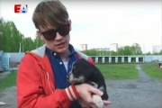 Лидер «Сансары» Александр Гагарин помогает бездомным собакам обрести дом. ВИДЕО