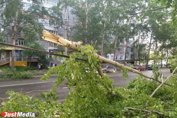 МЧС снова предупреждает о надвигающемся на Средний Урал урагане - Фото 1