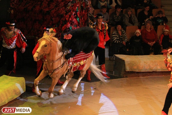 В Нижнем Тагиле после капремонта открывается цирк с трехзонным климат-контролем и солярием для лошадей - Фото 1